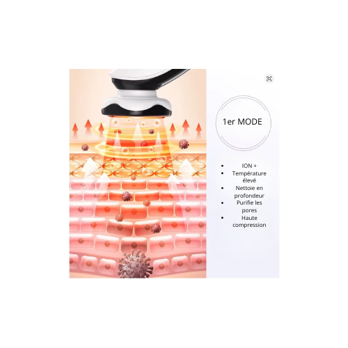Masseur Électrique - Skin Care Parfaite