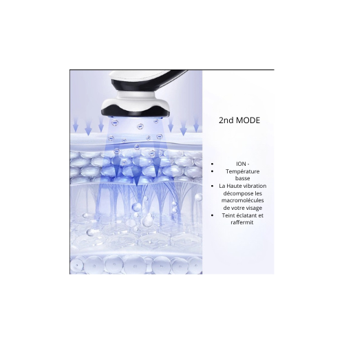 Masseur Électrique - Skin Care Parfaite