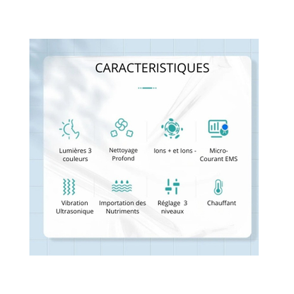 Masseur Électrique - Soins du Visage